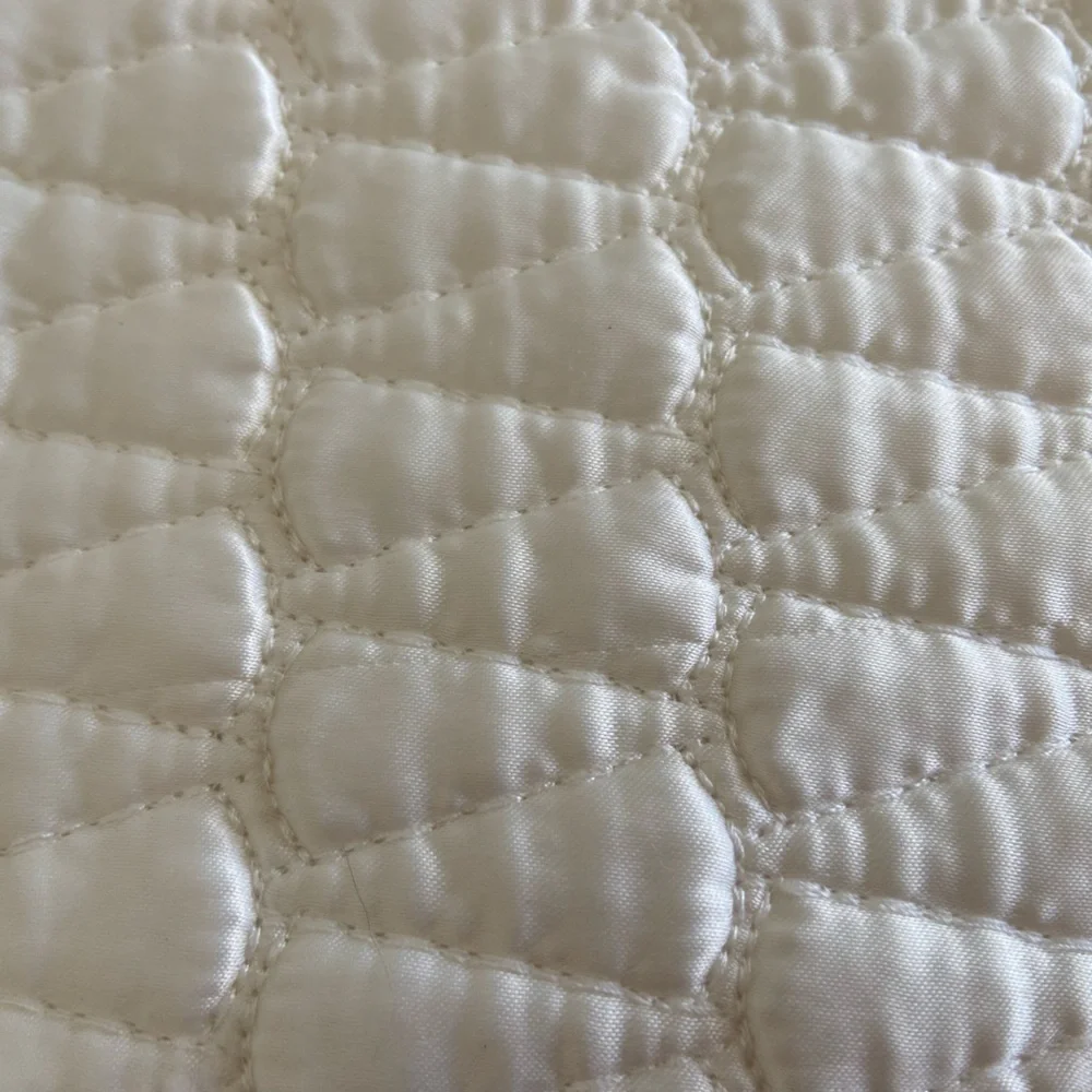 (1) West Elm pillow sham